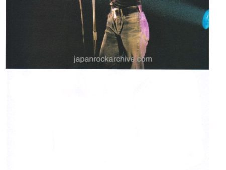 The Sundays 1993 04 Japanese music press cutting clipping - photo pinup - harriet wheeler For Discount